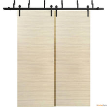 Load image into Gallery viewer, Planum 0010 Natural Veneer Double Barn Door and Black Bypass Rail