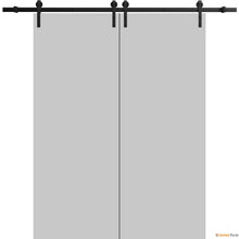 Load image into Gallery viewer, Planum 0010 Matte Grey Double Barn Door and Black Rail