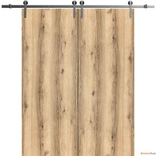 Load image into Gallery viewer, Planum 0010 Oak Double Barn Door and Silver Rail