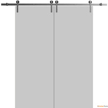 Load image into Gallery viewer, Planum 0010 Matte Grey Double Barn Door and Silver Rail