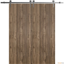 Load image into Gallery viewer, Planum 0010 Walnut Double Barn Door and Silver Rail