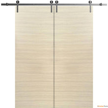 Load image into Gallery viewer, Planum 0010 Natural Veneer Double Barn Door and Silver Rail