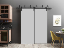Load image into Gallery viewer, Planum 0010 Matte Grey Double Barn Door and Black Bypass Rail