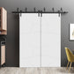 Planum 0990 Painted White Matte Double Barn Door and Black Bypass Rail