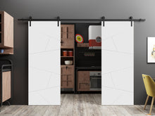 Load image into Gallery viewer, Planum 0990 Painted White Matte Double Barn Door and Black Rail