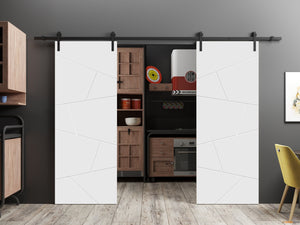 Planum 0990 Painted White Matte Double Barn Door and Black Rail