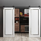 Planum 0888 Painted White Double Barn Door with Frosted Glass and Black Rail
