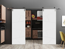 Load image into Gallery viewer, Planum 0990 Painted White Matte Double Barn Door and Silver Rail