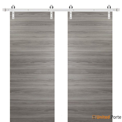 Planum 0010 Ginger Ash Double Barn Door and Silver Rail