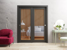 Load image into Gallery viewer, Lucia 2166 Matte Black Barn Door Slab with Clear Glass