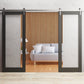 Lucia 2166 Matte Black Barn Door Slab with Clear Glass