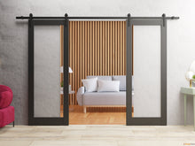Load image into Gallery viewer, Lucia 2166 Matte Black Double Barn Door with Clear Glass and Black Rail