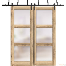 Load image into Gallery viewer, Lucia 2552 Oak Double Barn Door with Frosted Glass and Black Bypass Rail