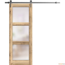 Load image into Gallery viewer, Lucia 2552 Oak Barn Door with Frosted Glass and Silver Rail