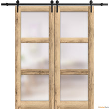 Load image into Gallery viewer, Lucia 2552 Oak Double Barn Door with Frosted Glass and Black Rail