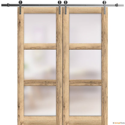 Lucia 2552 Oak Double Barn Door with Frosted Glass and Silver Rail