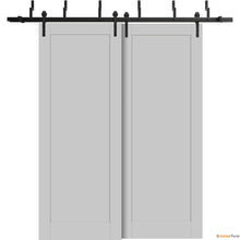 Load image into Gallery viewer, Quadro 4111 Matte Grey Double Barn Door and Black Bypass Rail