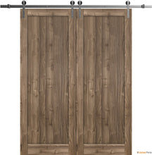 Load image into Gallery viewer, Quadro 4111 Walnut Double Barn Door and Silver Rail