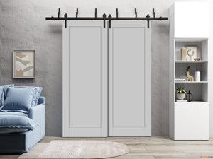 Quadro 4111 Matte Grey Double Barn Door and Black Bypass Rail