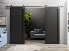 Load image into Gallery viewer, Quadro 4111 Matte Black Double Barn Door and Silver Rail