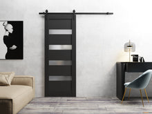 Load image into Gallery viewer, Quadro 4113 Matte Black Barn Door with Frosted Opaque Glass and Black Rail
