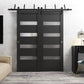 Quadro 4113 Matte Black Barn Door Slab with Frosted Opaque Glass
