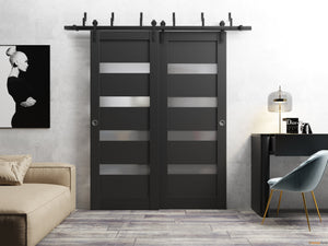 Quadro 4113 Matte Black Double Barn Door with Frosted Opaque Glass and Black Bypass Rail