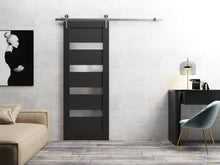 Load image into Gallery viewer, Quadro 4113 Matte Black Barn Door with Frosted Opaque Glass and Silver Rail
