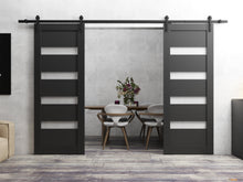 Load image into Gallery viewer, Quadro 4113 Matte Black Double Barn Door with Frosted Opaque Glass and Black Rail