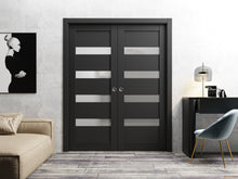 Load image into Gallery viewer, Quadro 4113 Matte Black Barn Door Slab with Frosted Opaque Glass