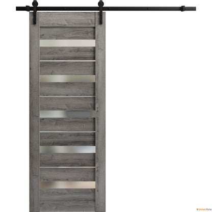 Quadro 4445 Nebraska Grey Barn Door with Frosted Glass and Black Rail