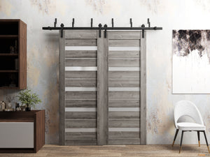 Quadro 4445 Nebraska Grey Double Barn Door with Frosted Glass and Black Bypass Rail
