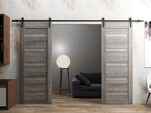 Load image into Gallery viewer, Quadro 4445 Nebraska Grey Double Barn Door with Frosted Glass and Black Rail