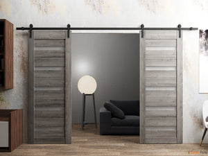 Quadro 4445 Nebraska Grey Double Barn Door with Frosted Glass and Black Rail