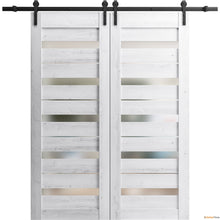 Load image into Gallery viewer, Quadro 4445 Nordic White Double Barn Door with Frosted Glass and Black Rail