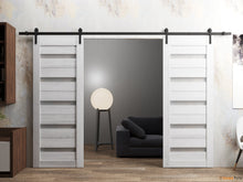 Load image into Gallery viewer, Quadro 4445 Nordic White Double Barn Door with Frosted Glass and Black Rail