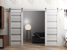 Load image into Gallery viewer, Quadro 4445 Light Grey Oak Double Barn Door with Frosted Glass and Silver Rail