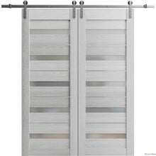 Load image into Gallery viewer, Quadro 4445 Light Grey Oak Double Barn Door with Frosted Glass and Silver Rail
