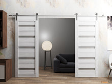 Load image into Gallery viewer, Quadro 4445 Nordic White Double Barn Door with Frosted Glass and Silver Rail