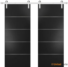 Load image into Gallery viewer, Planum 0020 Matte Black Double Barn Door and Silver Rail