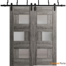 Load image into Gallery viewer, Sete 6933 Nebraska Grey Double Barn Door with Frosted Glass and Black Bypass Rail