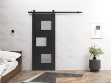 Load image into Gallery viewer, Sete 6933 Matte Black Barn Door with Frosted Glass and Black Rail