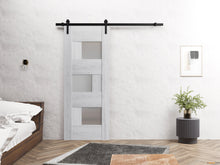 Load image into Gallery viewer, Sete 6933 Nordic White Barn Door with Frosted Glass and Black Rail