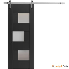 Load image into Gallery viewer, Sete 6933 Matte Black Barn Door with Frosted Glass and Silver Rail