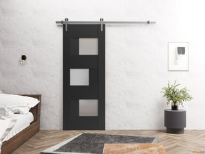 Sete 6933 Matte Black Barn Door with Frosted Glass and Silver Rail