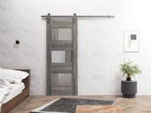 Load image into Gallery viewer, Sete 6933 Nebraska Grey Barn Door with Frosted Glass and Silver Rail