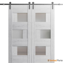 Load image into Gallery viewer, Sete 6933 Nordic White Double Barn Door with Frosted Glass and Silver Rail