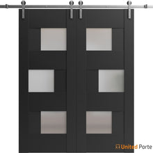 Load image into Gallery viewer, Sete 6933 Matte Black Double Barn Door with Frosted Glass and Silver Rail