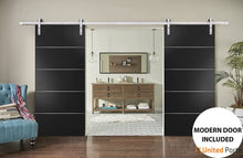 Load image into Gallery viewer, Planum 0020 Matte Black Double Barn Door and Silver Rail