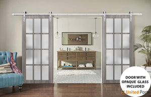 Felicia 3312 Ginger Ash Grey Double Barn Door with 12 Lites Frosted Glass and Silver Rail